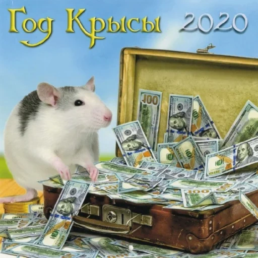 topo con denaro, topo in contanti, rat 2020, 2020 l'anno del ratto, calendario 2020 del ratto bianco
