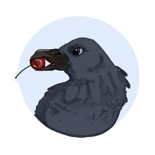 corvo, a proposito del corvo