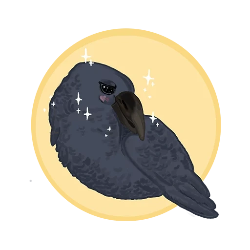 corvo, corvo corvo corvo, l'uccello del corvo, uccellino nero