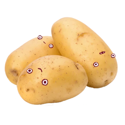 artichoke, varietas kentang, alamat kentang, kentang kecil, kentang benih