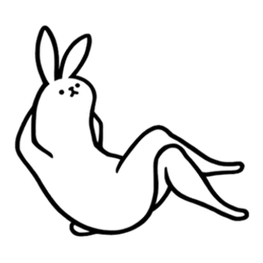conejo, patrón de conejo, conejo en polvo