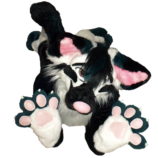 kucing, fursuit, furset dalmatian, furset border collie, fursuyt border collie