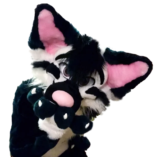 kucing, berbulu, fursuit, fursu furri, kamar berbulu 739