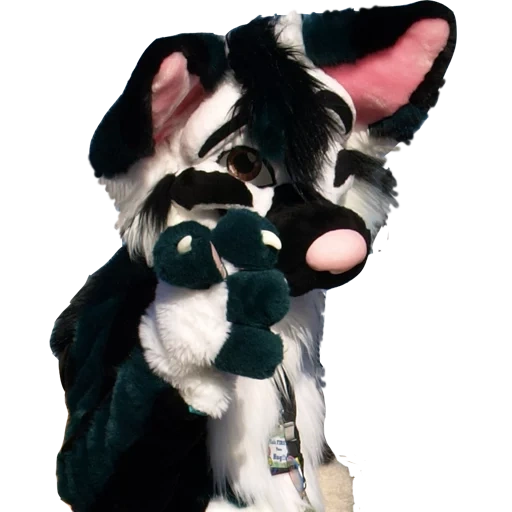 fursuit, fulsiyut, fuersiyut amenger ass, stellera chamaejasme, border collie