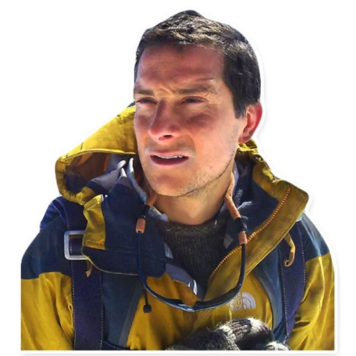 urso grylls, vê online, urso grylls mem, sobreviver por qualquer meio, urso grylls improvisar adaptar supere