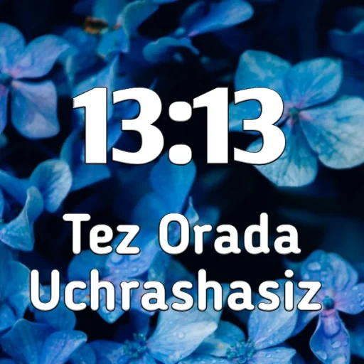 flores azuis, as flores são azuis, o fundo é lindo azul, flores azuis azuis, flores azuis suavemente