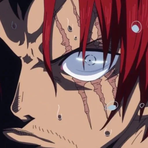 fan pis, manki de luffy, anime one piece, shanks one piece, red haired shanks