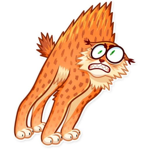 lynx, der luchs, die böse katze, striped cat