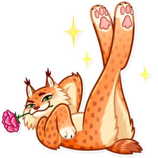 lince, lince, lince lince, dreamcore cat
