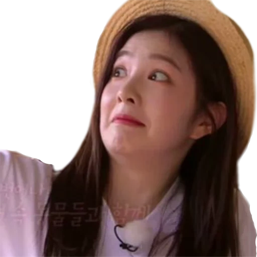 beludru merah, meme beludru merah, irene red velvet, meme beludru duduk, irene red velvet meme