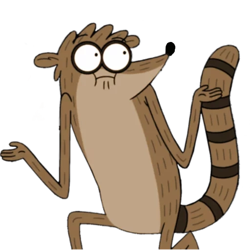 rigby, drôle, rigby raccoon, dessins animés ordinaires de rigby