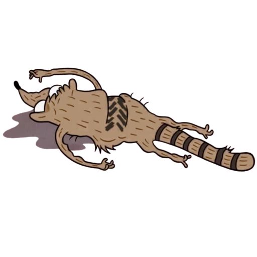 gato, animal, o guaxinim está correndo, gato doméstico, ilustração de rato