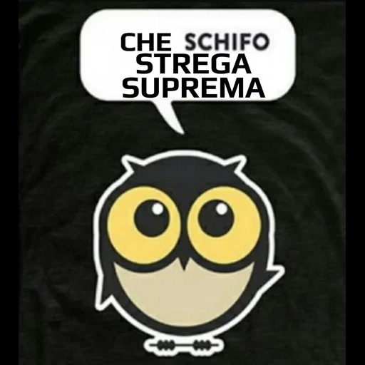 owl, la civetta, testa di gufo, jay migliore, t-shirt stampata