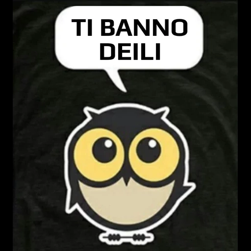 owl, la civetta, divertente, testa di gufo, le citazioni sono divertenti