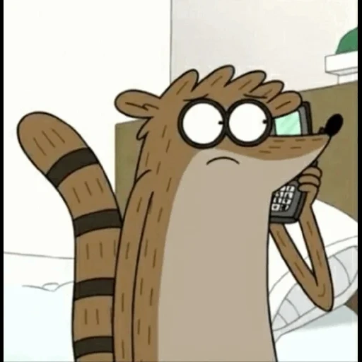 ригби, обычные, ригби мультик, rigby raccoon, обычный мультик