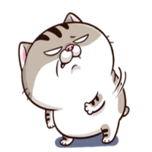 fat cat, ami fat cat, fat cat, the cat is fat, dancing fat cat