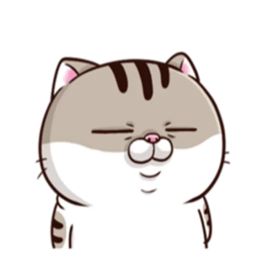 cats, ami fat cat, cute cats, animated watsap