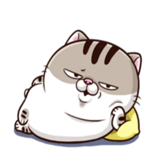 meowww meme, ami fat cat, fat cat, may cat fat