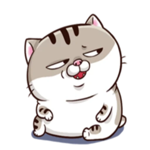 fat cat, ami fat cat, fat cat, cute cats, the cat is fat