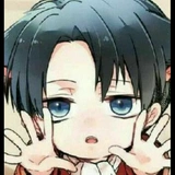 Levi Ackerman