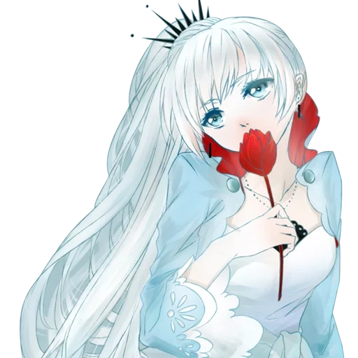 weiss schnee, аниме девушки, девушки аниме, милые аниме девушки