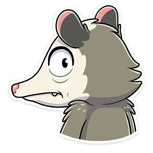 rico, yang indah, opossum, opossum riko