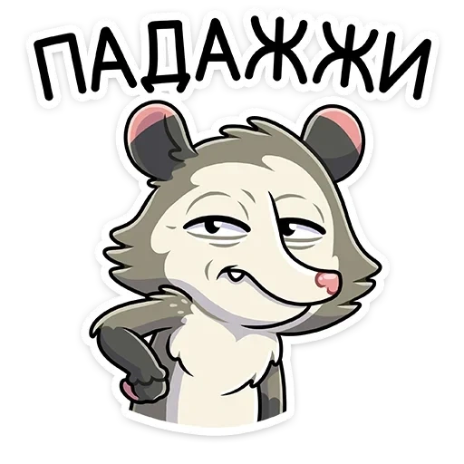 rico, lovely, opossum