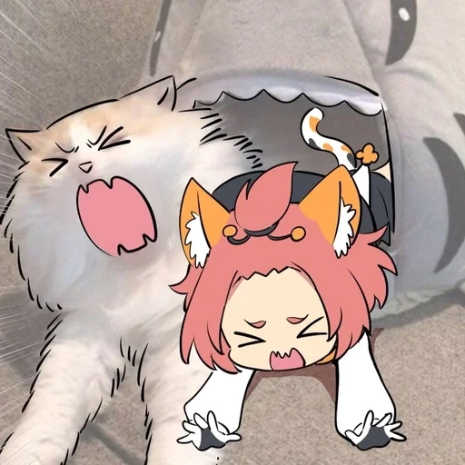 anime, donat anime, anime kawai, anime cute, cat by human ears