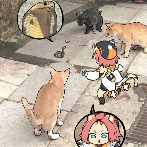 кот, anime, кошка атаке, аниме смешные, семейство кошачьих