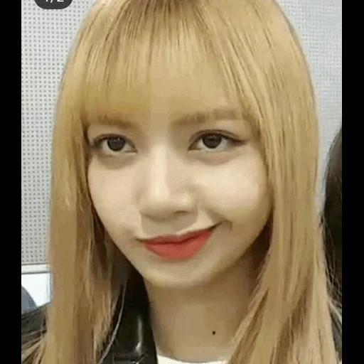 black powder, bts blackpink, manoban larisa, black fox, blackpink lisa