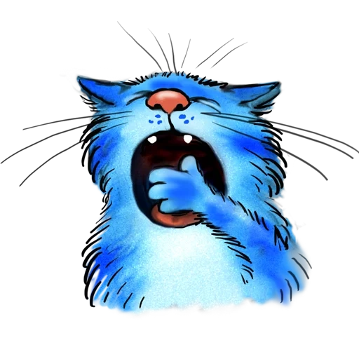 blue cat, cat blue, chat bleu de renus, le chat bleu rit