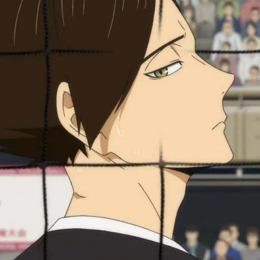 haikyuu, haikyuu web, anime haikyuu, anime volleyball, anime charaktere