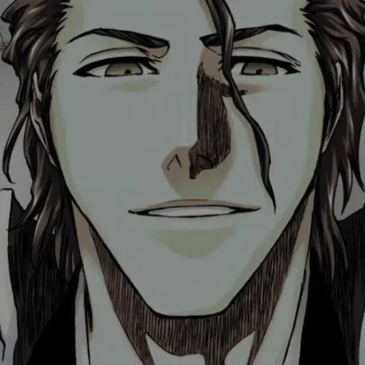 aizen, people, eisen blitch, sosuke eisen, cartoon character