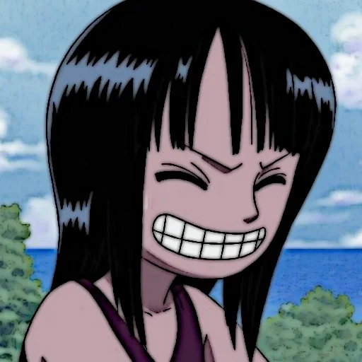 un pezzo, van pis robin, immettere la richiesta, hanamichi sakuragi, nico robin one piece