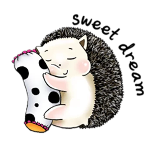 riccio, caro riccio, i ricci sono carini, picture hedgehog, illustrazione del riccio