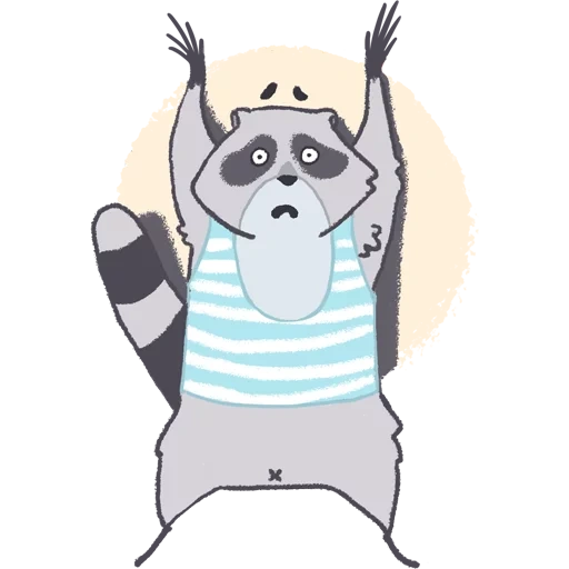 rakun, raccoon tolik