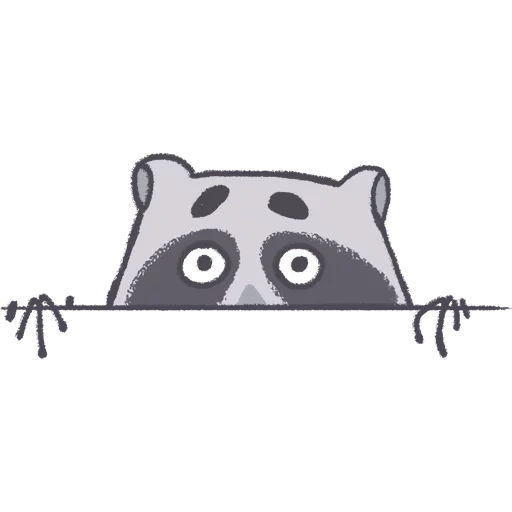 gato, guaxinim, raccoon 2d, símbolo de guaxinim, minimalismo de gato