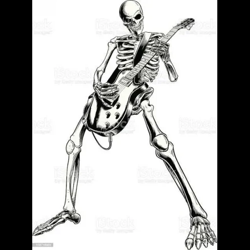 скелет, skeleton, кости скелета, рисунок скелета, человеческий скелет