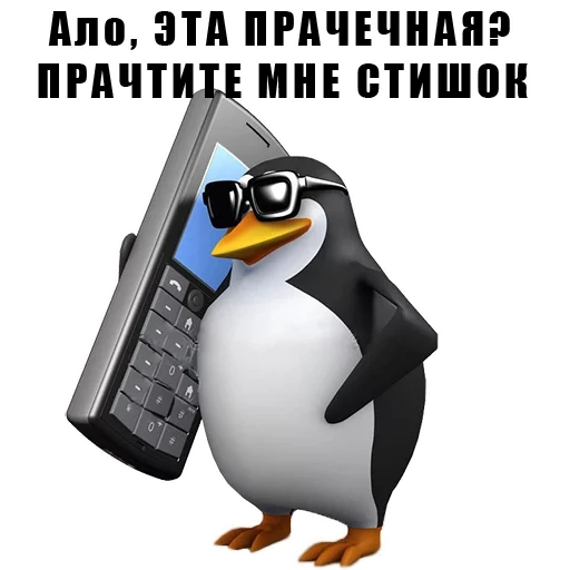 mem penguin, penguin telefono, pinguino insoddisfatto, mem penguin con un telefono, penguin mem insoddisfatto