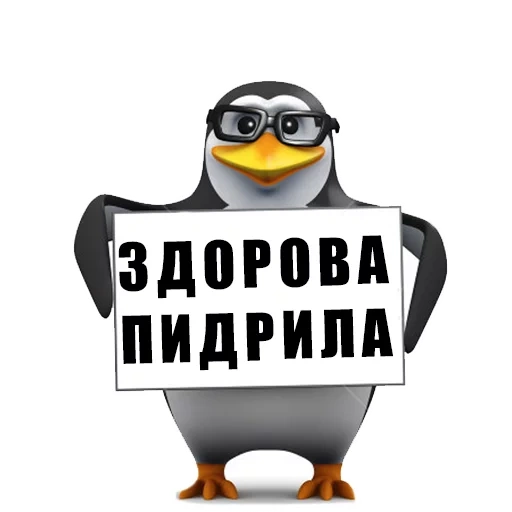 aplastado, penguin 3d, modelo de cohete pingüino, oye este es un meme de pingüino