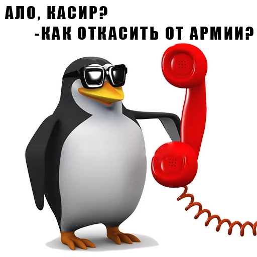 pinguin meme, the penguin phone, pinguin telefon meme, hallo das ist ein pinguin-meme, pinguin am telefon