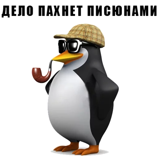 pinguim, mem penguin