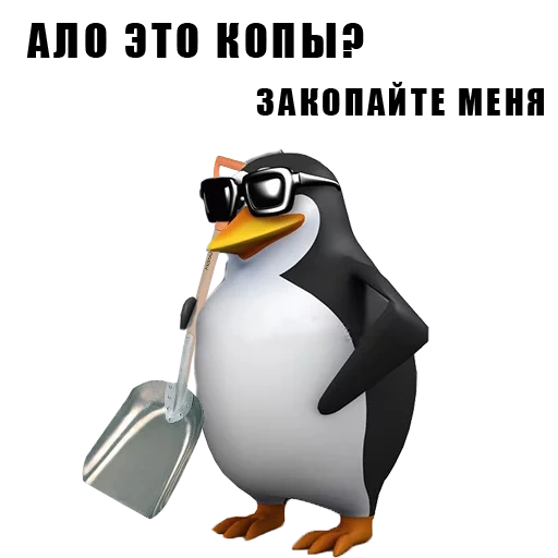 scherzo, mem penguin, penguin telefono, mem penguin con un telefono, modello di meme del telefono pinguino