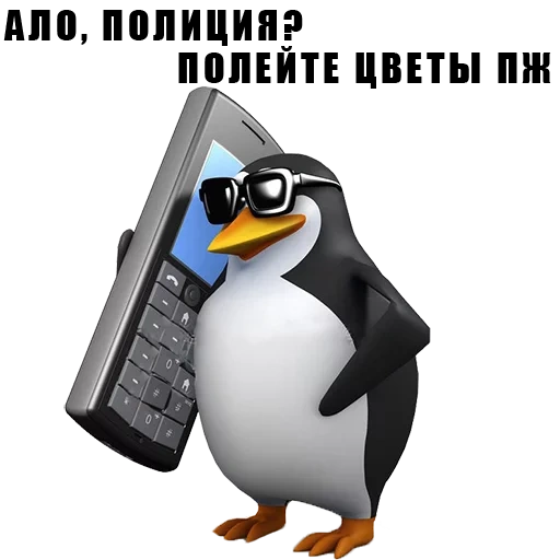 meme penguin, pinguini divertenti, penguin telefono, mem penguin con un telefono, ciao è un meme con un pinguino