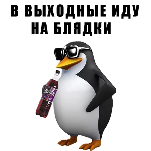 meme penguin, penguin lucu, telepon penguin, meme telepon penguin, halo ini adalah meme penguin