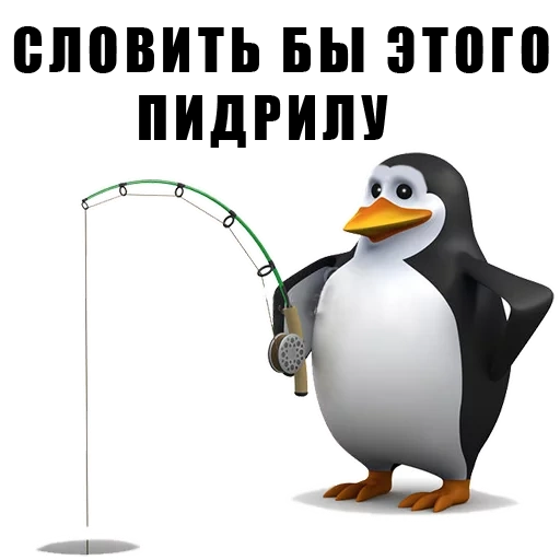 memes, pinguim, meme penguin, meme penguin, pássaro pigovin