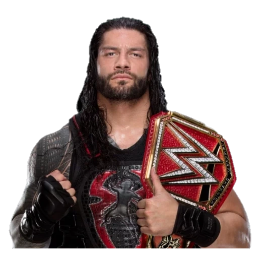 wwe, sean michaels, campeón wwe, roman raines, seth rollins