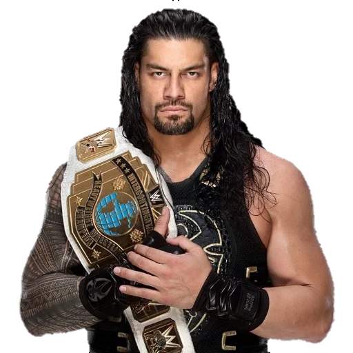 redini romani, wwe roman reigns 2020, roman reigns ic campione, world wildlife fund, roman reigns intercontinental champion