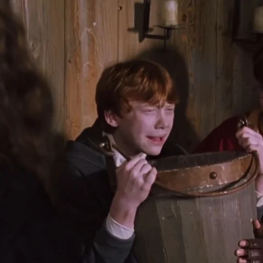 ron weasley, harry potter, harry potter ist geheim, die kammergeheimnisse, harry potter secret room