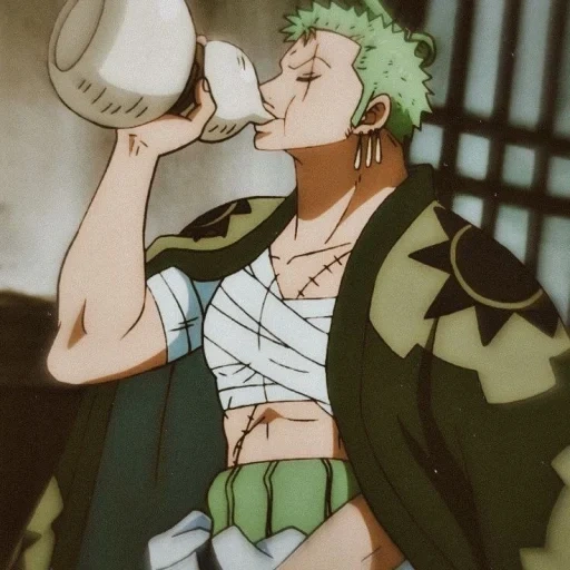 roronoa zoro, zoro, fouton gokuukhou, roronoa zoro manga, limone ragazzo